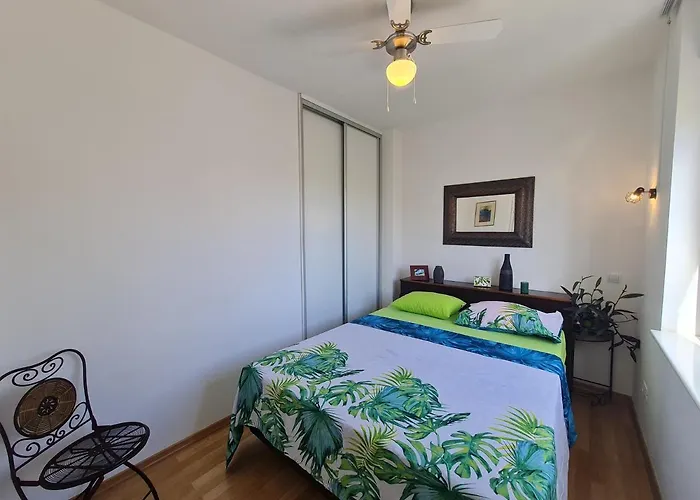 Apartment Roko