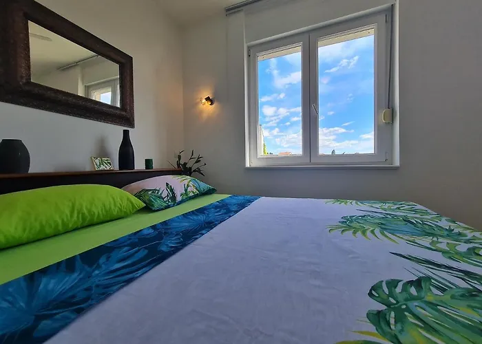 Apartment Roko